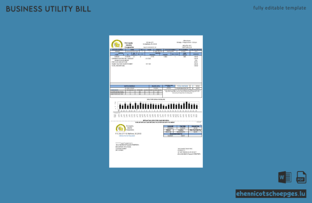 Vorschau einer Beispielrechnung der Tri-County Electric Cooperative für Unternehmen in den USA